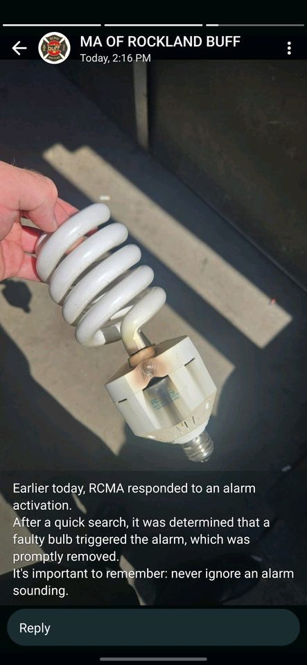 Bulb.jpeg