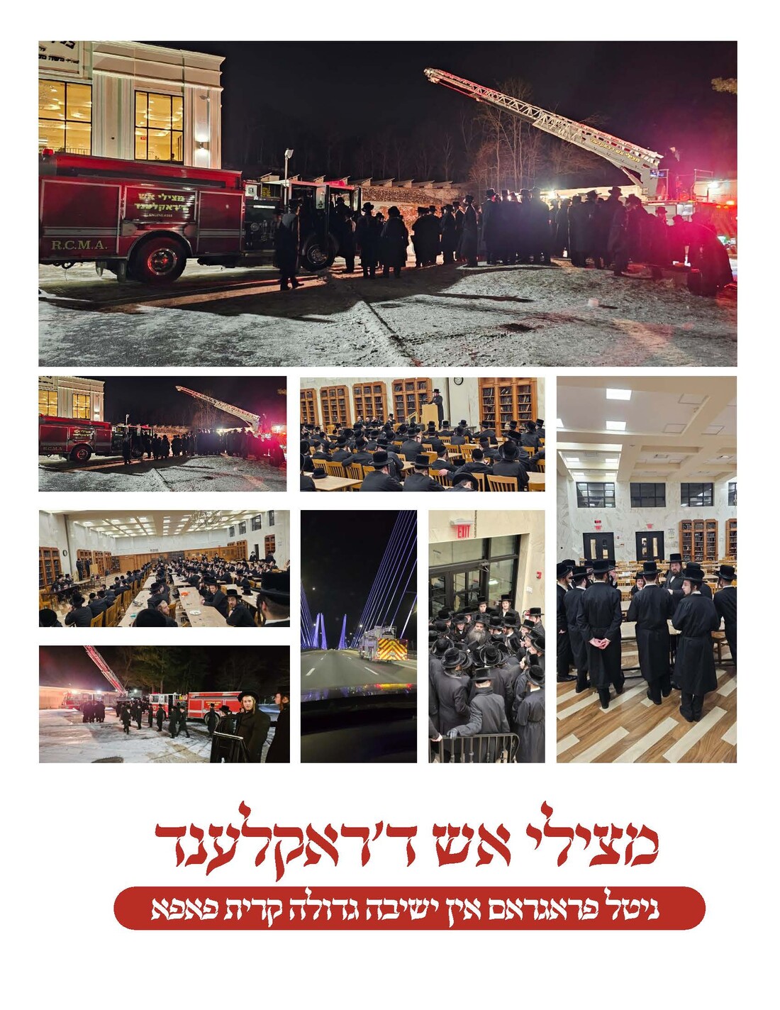 פאפא ניטל.jpg