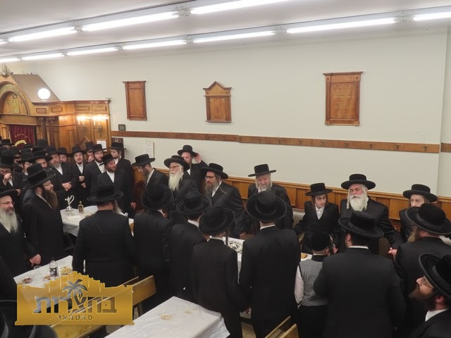 unnamed - 2025-02-07T094620.945.jpg