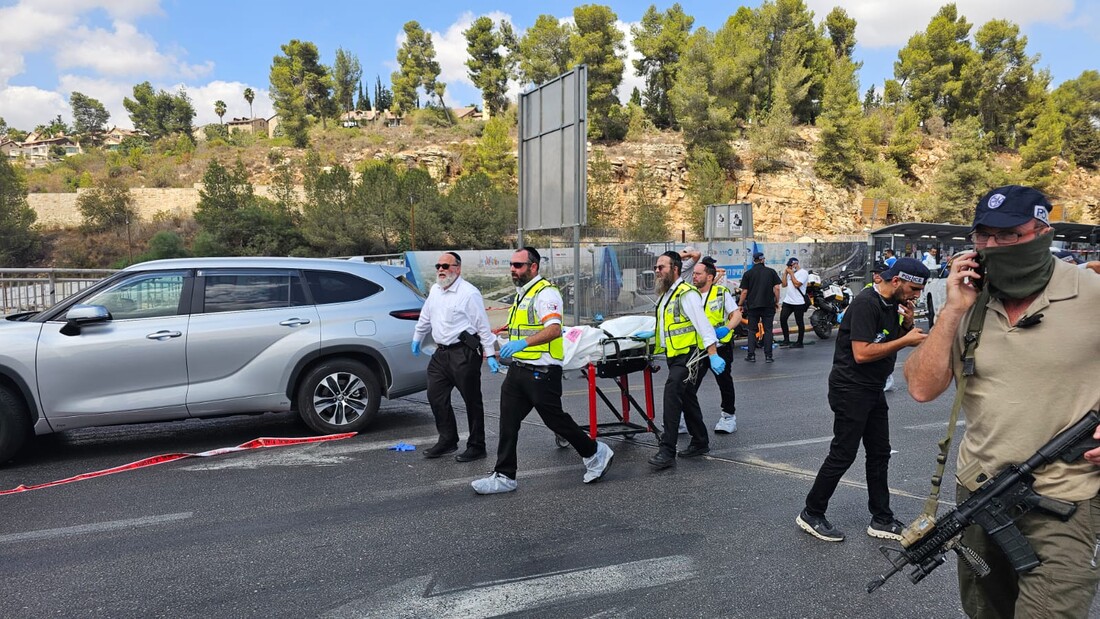 WhatsApp Image 2025-09-08 at 12.00.56.jpeg