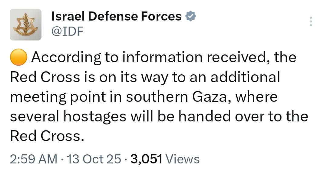 WhatsApp Image 2025-10-13 at 03.02.55_463cd194.jpg