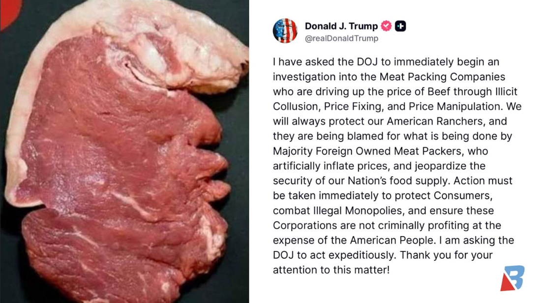 טראמפ פלייש.PNG