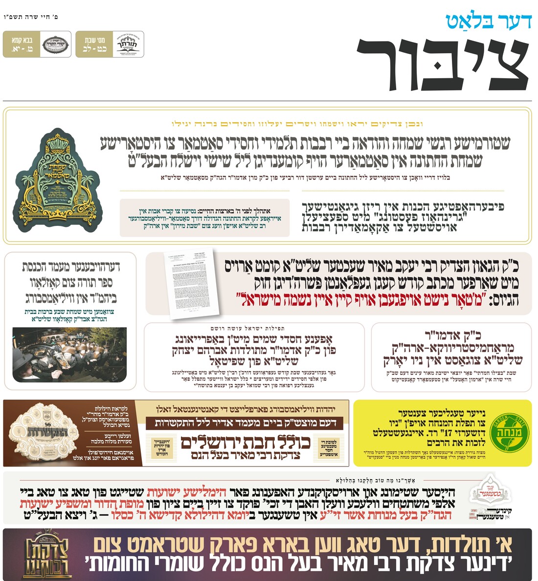 ציבור חיי שרה פ''ו.jpeg