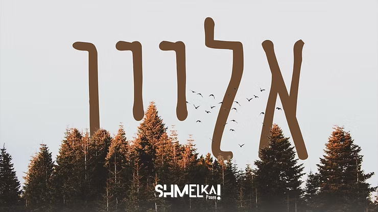 DJ Shmelka Posen Ft. Sruly Green - Alone.png