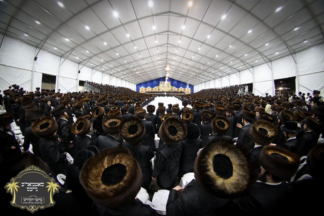 IMG_20251126_142039_223 (1).jpg