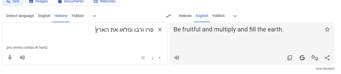 Screenshot 2026-01-31 215621.png