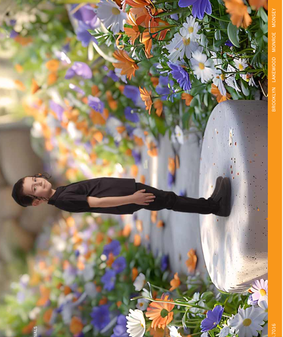 image - 2026-02-11T160943.514 (1).png