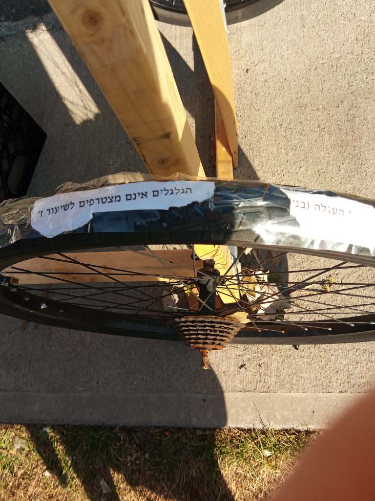 בראש העגלה.jpg