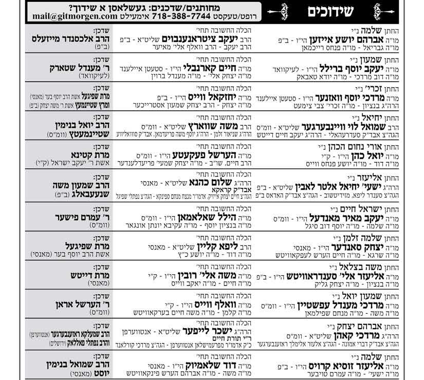 פרייטאג כי תשא פרה.jpg