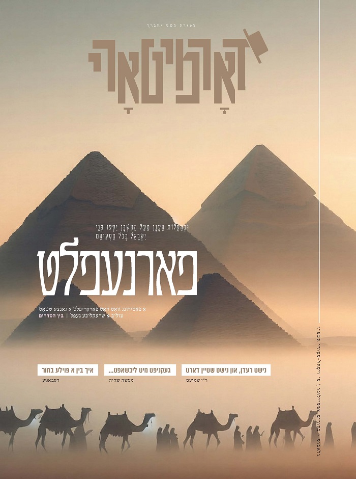 דארמיטארי ויק''פ.jpg