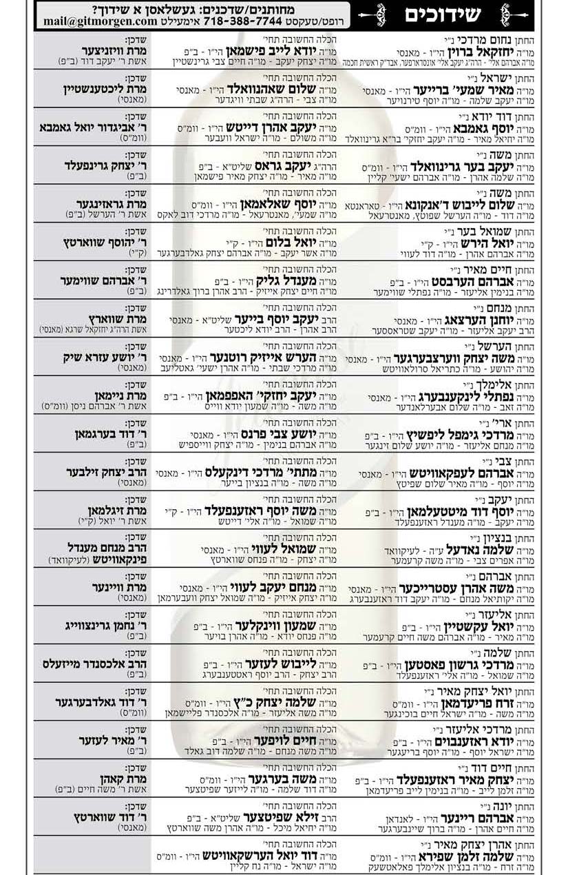 דינסטאג שמיני.jpg