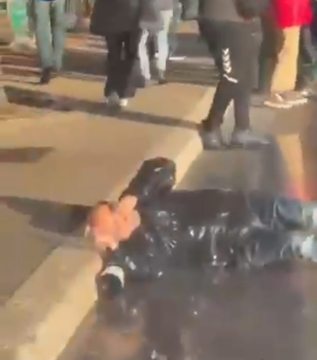 Screenshot_20260331_184235_Telegram (1).jpg