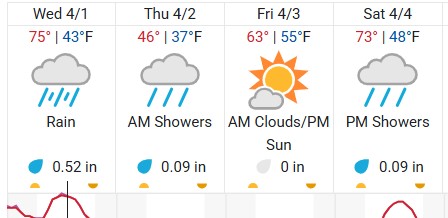 Screenshot 2026-04-01 131659.jpg