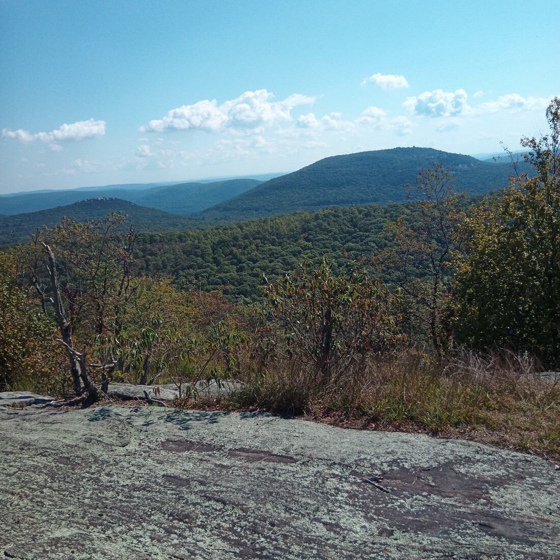IMG_20250917_111129_556.jpg