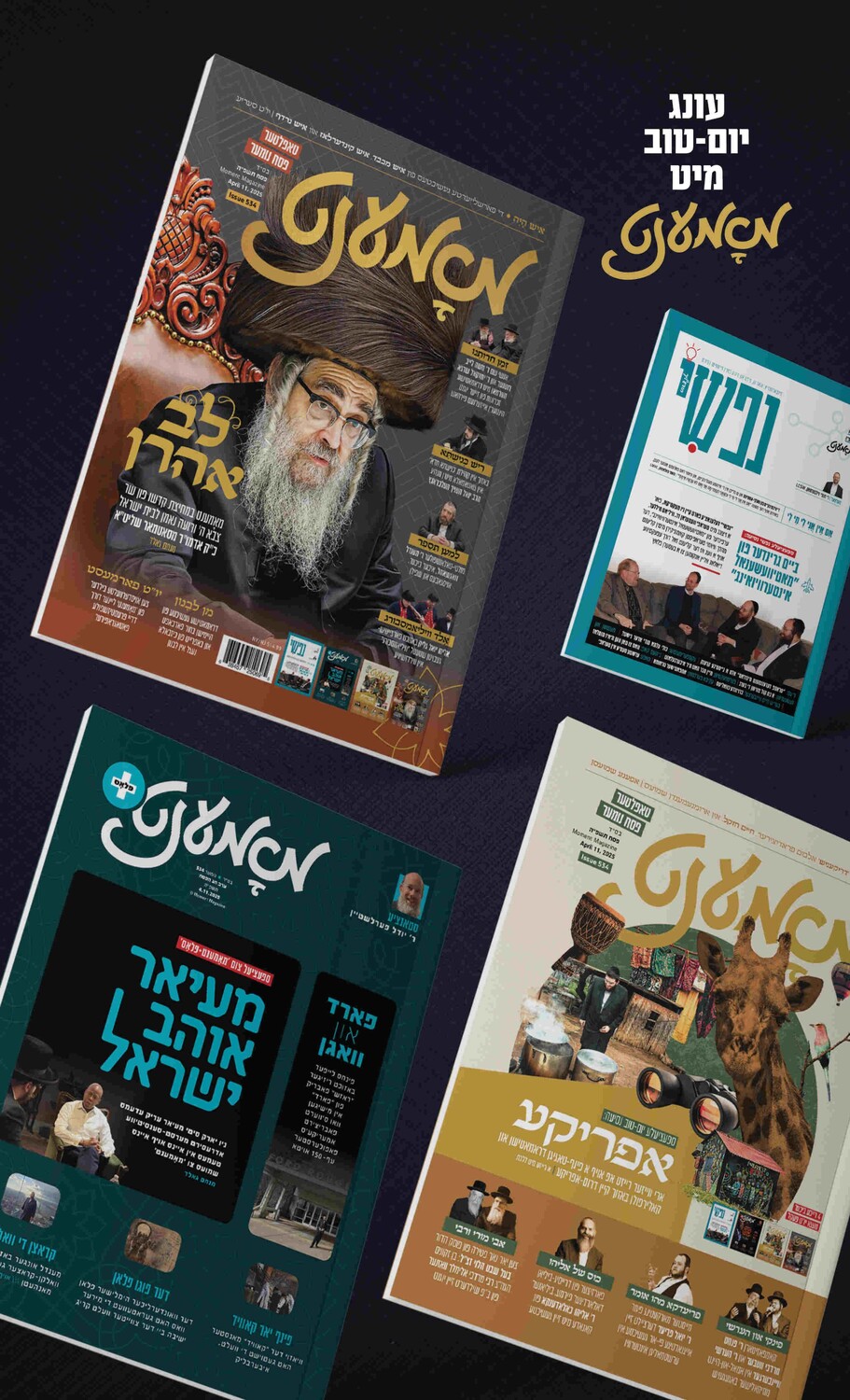 Moment Pesach Package.jpg